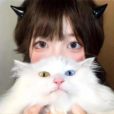 波尔卡的猪